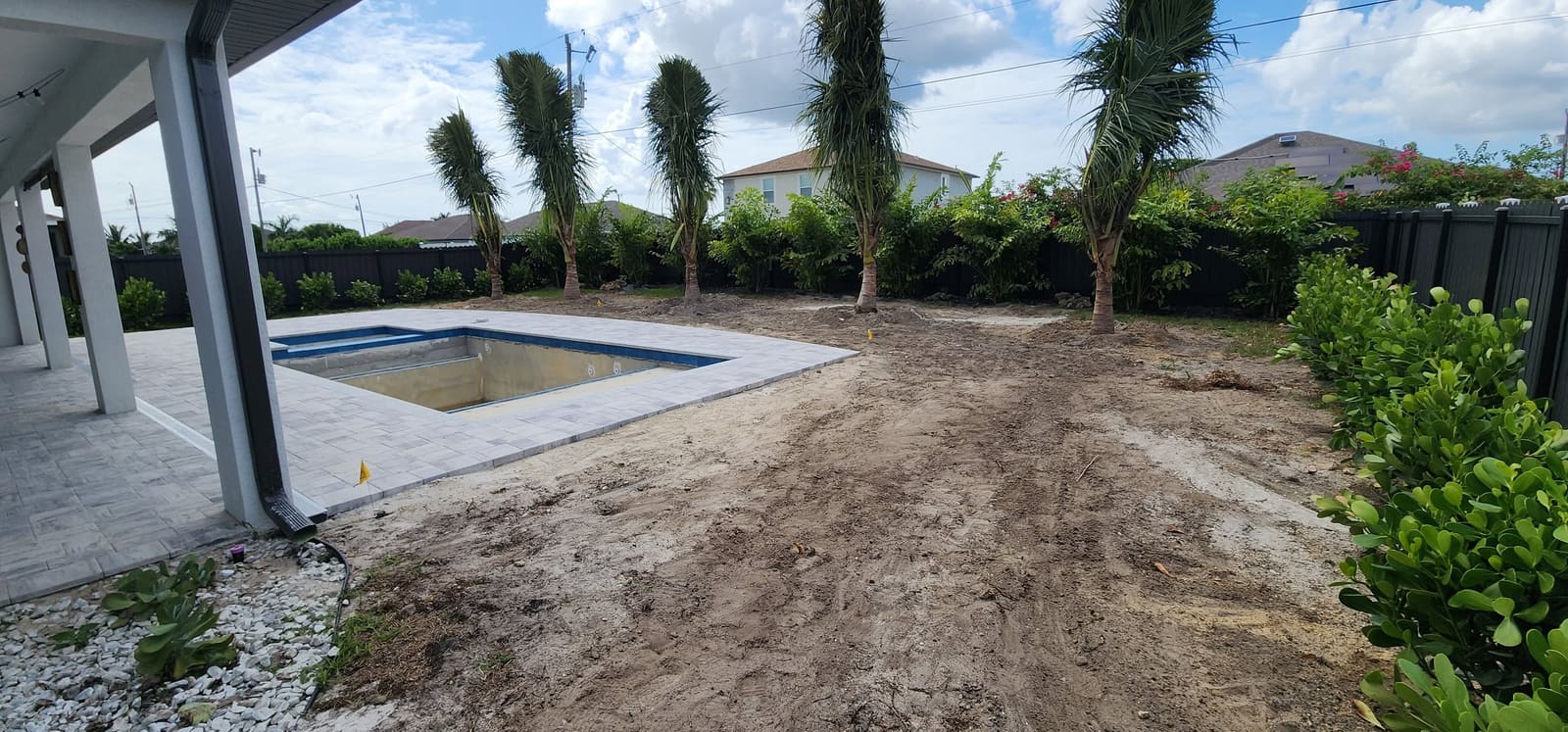 Backyard graded beside a new pool with palms planted along the fence