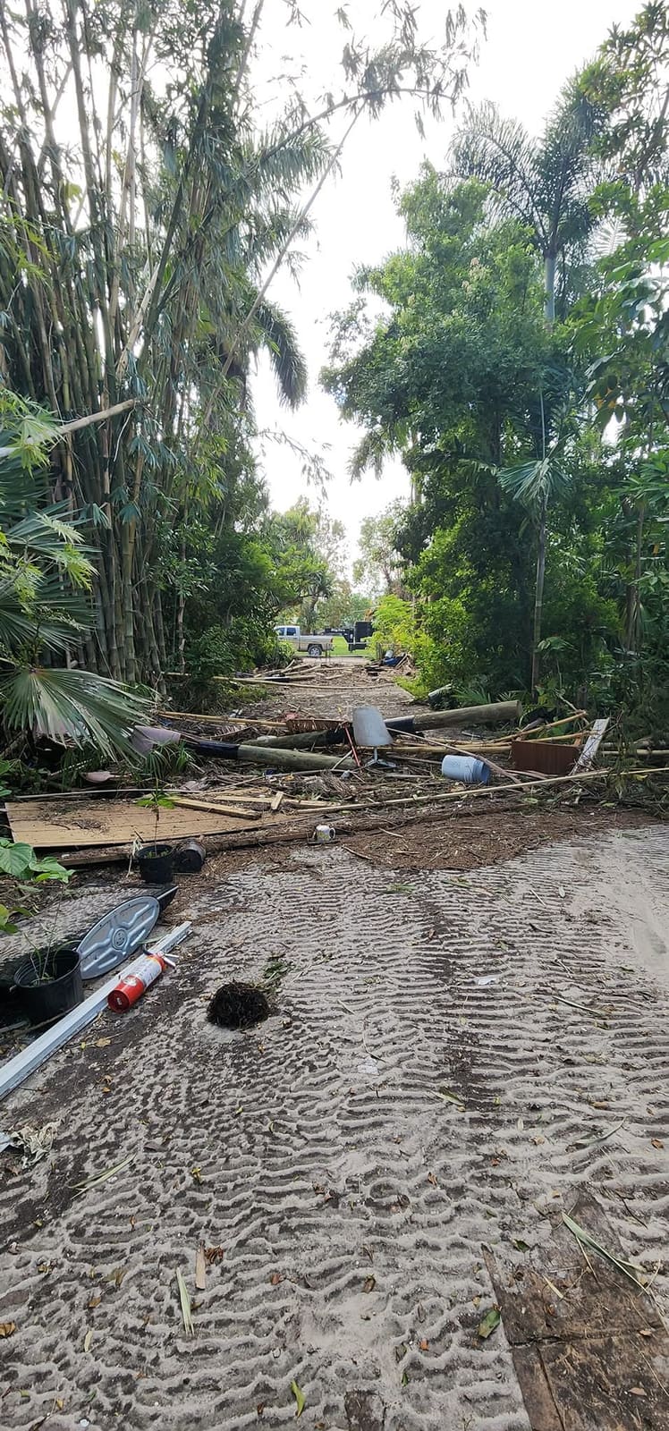 Storm debris and fallen limbs covering a sandy driveway