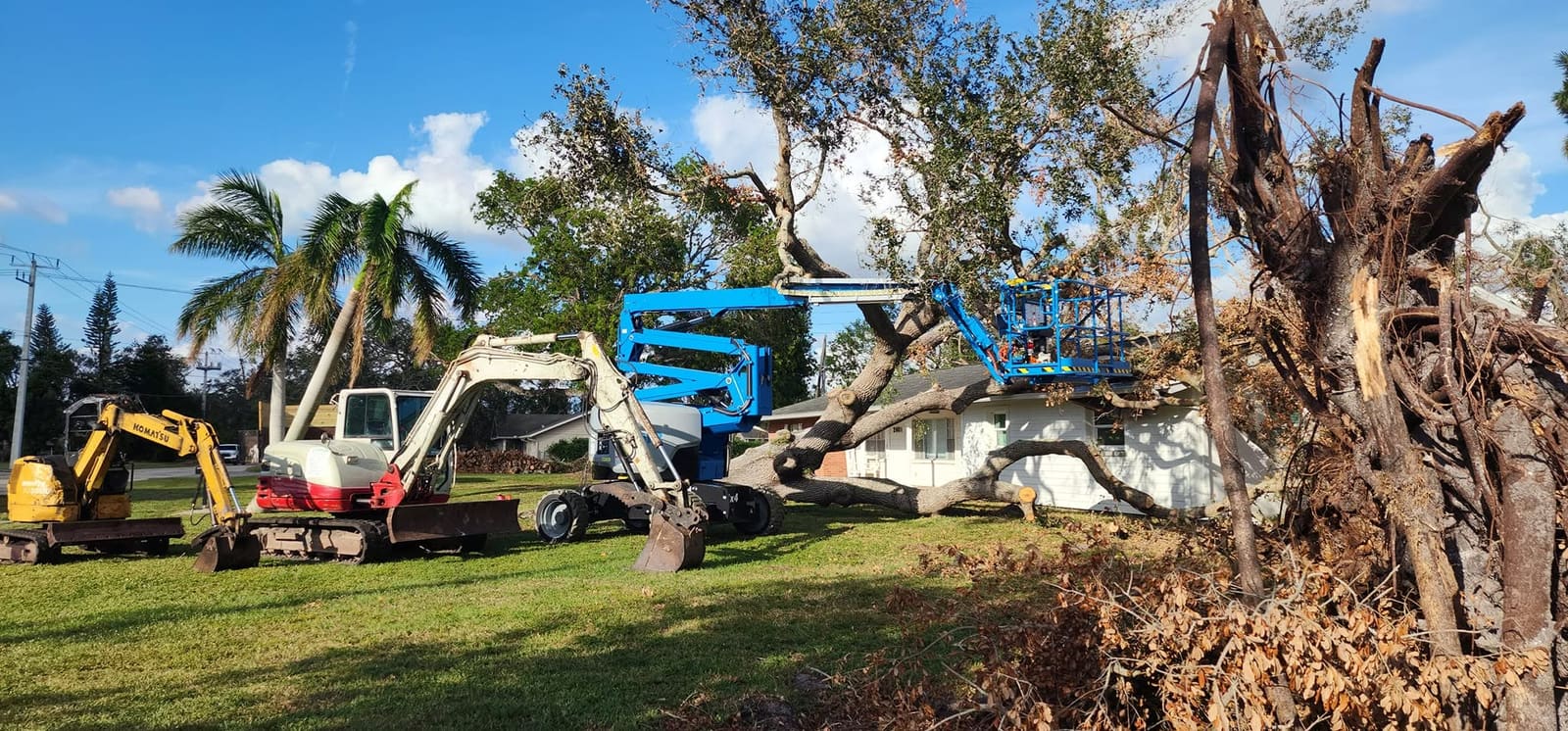 Excavators and a boom lift removing a large fallen oak in a yard