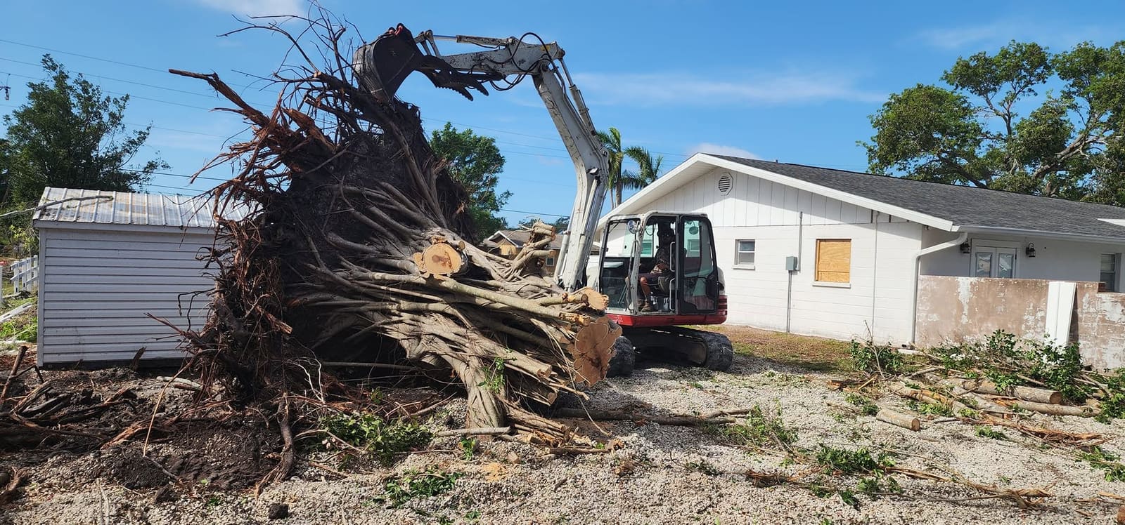 Excavator lifting a tree stump and root ball beside a house
