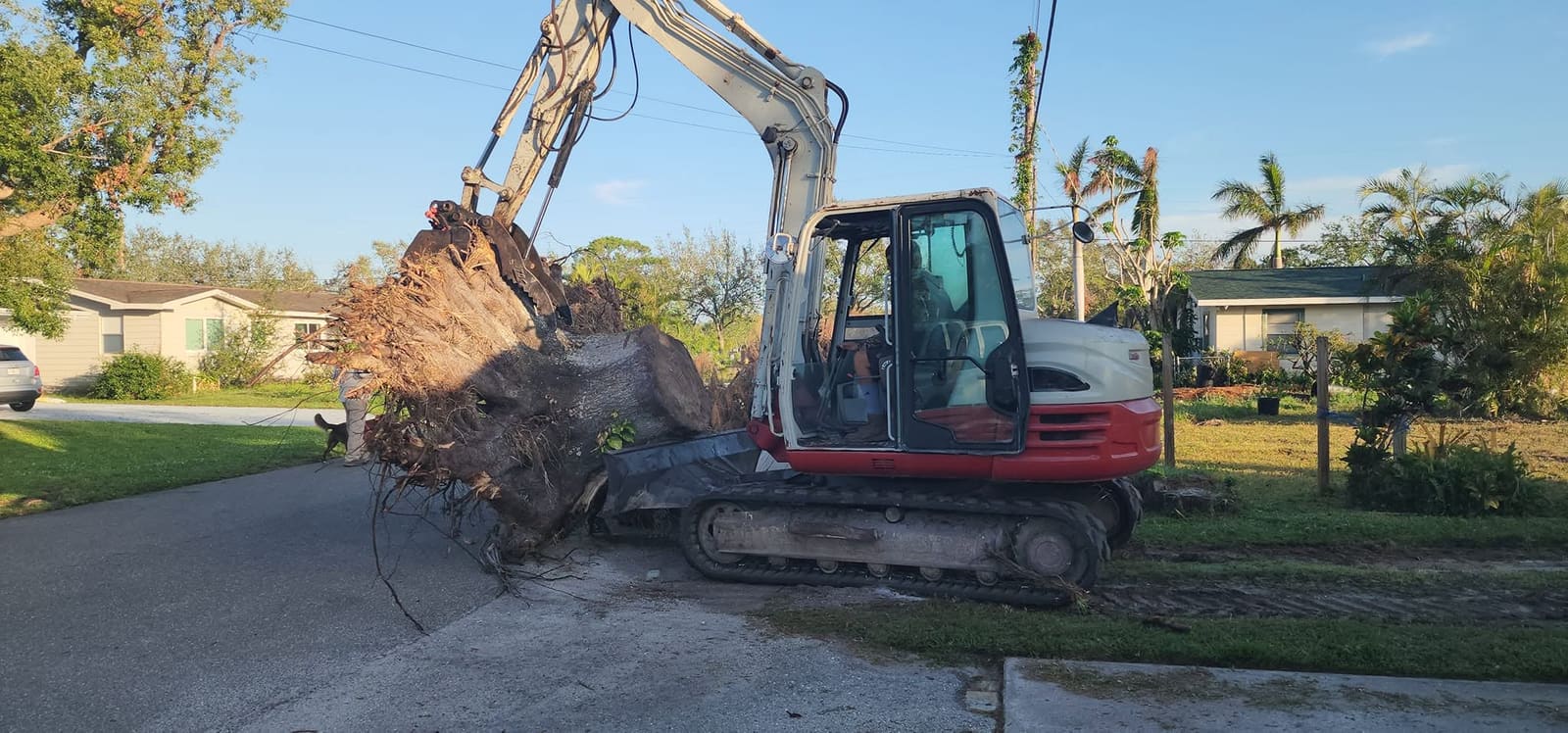 Track excavator lifting a large stump out of a front yard