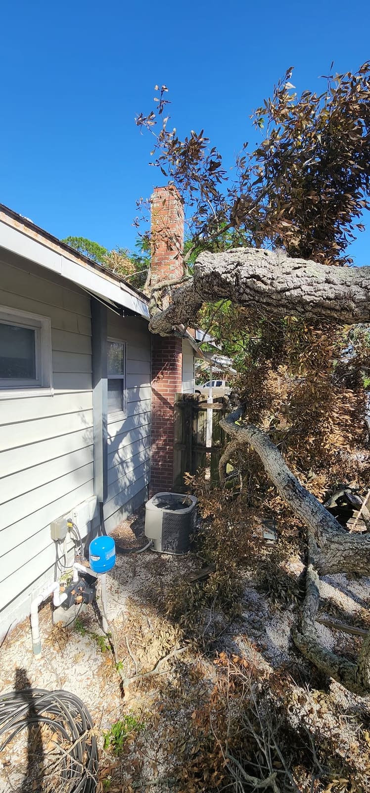 Broken tree limb resting against a house and chimney